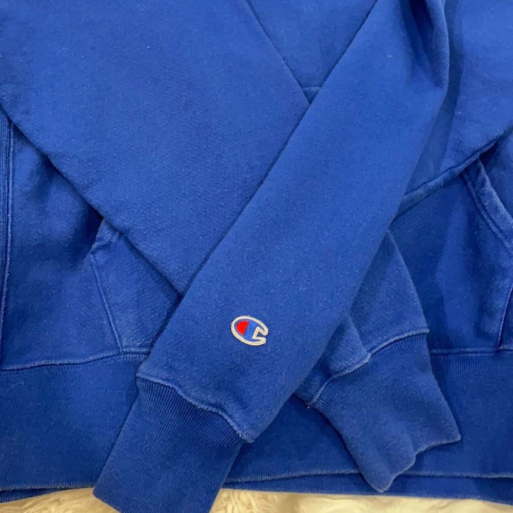 Champion Reverse Weave Hooded Sweatshirt